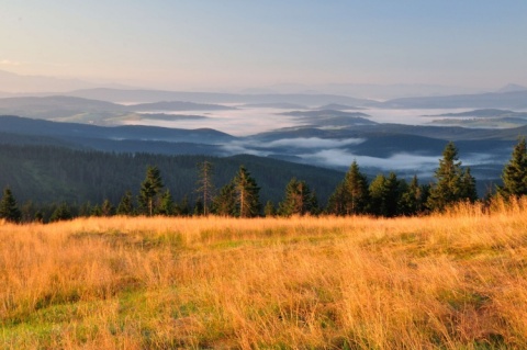 Kliknij na zdjęcie, żeby zobaczyć w pełnych wymiarach