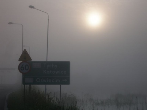 Kliknij na zdjęcie, żeby zobaczyć w pełnych wymiarach