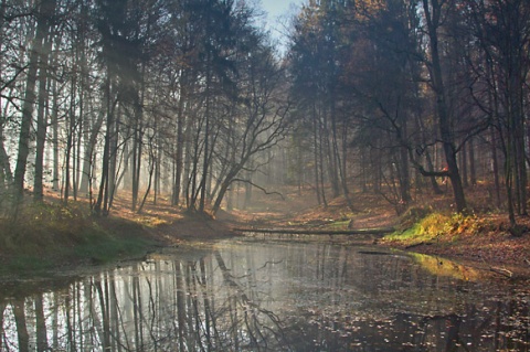 Kliknij na zdjęcie, żeby zobaczyć w pełnych wymiarach