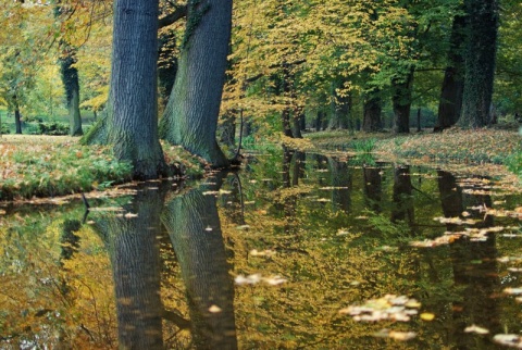 Kliknij na zdjęcie, żeby zobaczyć w pełnych wymiarach