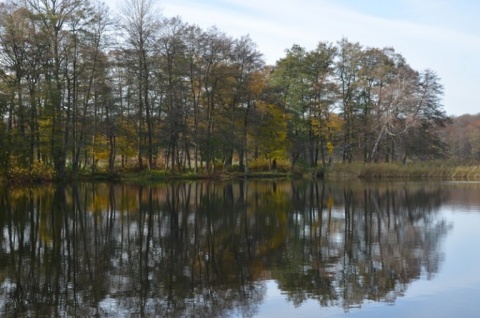 Kliknij na zdjęcie, żeby zobaczyć w pełnych wymiarach