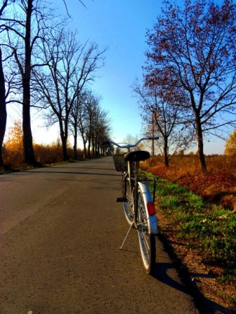 Kliknij na zdjęcie, żeby zobaczyć w pełnych wymiarach