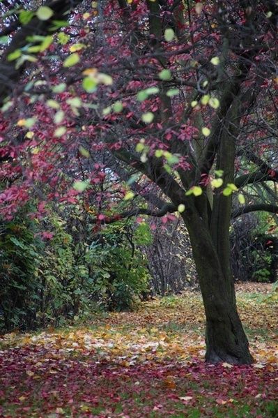 Kliknij na zdjęcie, żeby zobaczyć w pełnych wymiarach