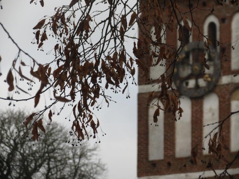 Kliknij na zdjęcie, żeby zobaczyć w pełnych wymiarach