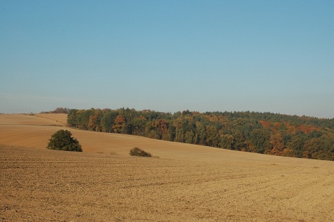 Kliknij na zdjęcie, żeby zobaczyć w pełnych wymiarach