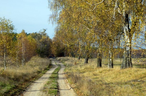 Kliknij na zdjęcie, żeby zobaczyć w pełnych wymiarach