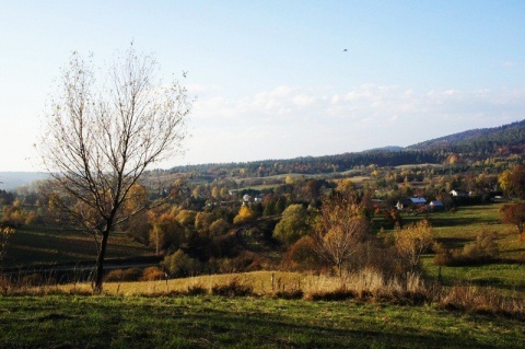 Kliknij na zdjęcie, żeby zobaczyć w pełnych wymiarach