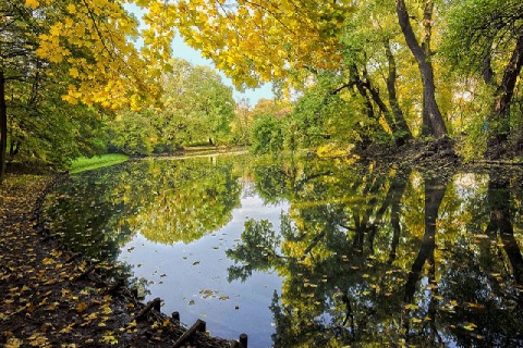 Kliknij na zdjęcie, żeby zobaczyć w pełnych wymiarach