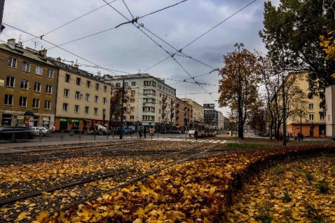 Kliknij na zdjęcie, żeby zobaczyć w pełnych wymiarach