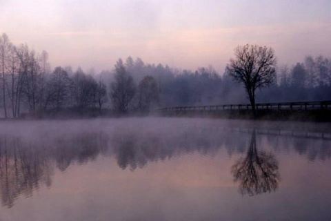 Kliknij na zdjęcie, żeby zobaczyć w pełnych wymiarach