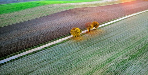 Kliknij na zdjęcie, żeby zobaczyć w pełnych wymiarach