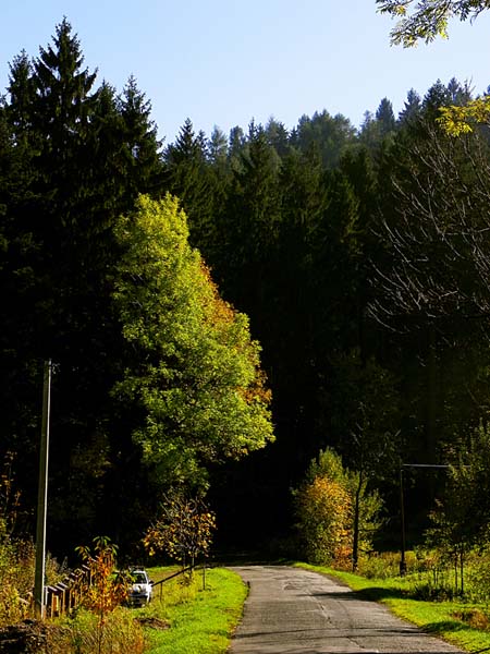 Kliknij na zdjęcie, żeby zobaczyć w pełnych wymiarach