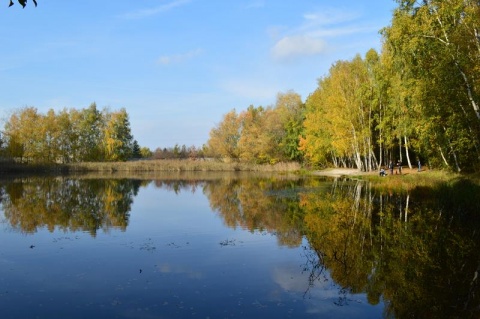 Kliknij na zdjęcie, żeby zobaczyć w pełnych wymiarach