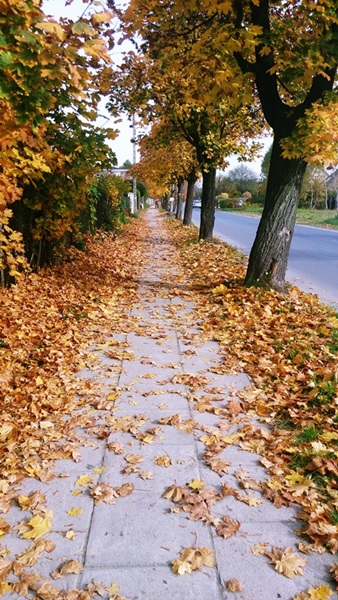 Kliknij na zdjęcie, żeby zobaczyć w pełnych wymiarach