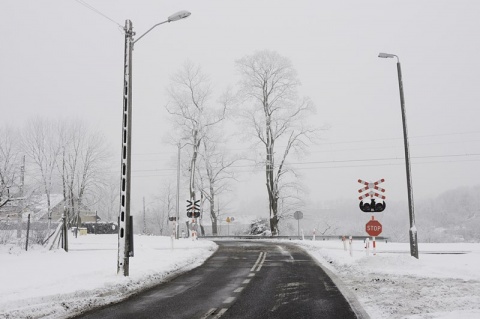 Kliknij na zdjęcie, żeby zobaczyć w pełnych wymiarach