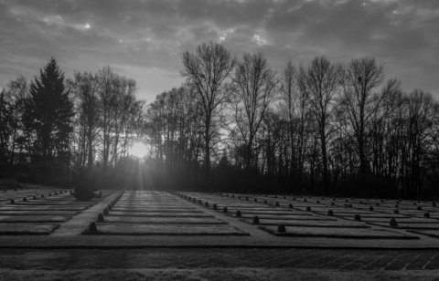 Kliknij na zdjęcie, żeby zobaczyć w pełnych wymiarach