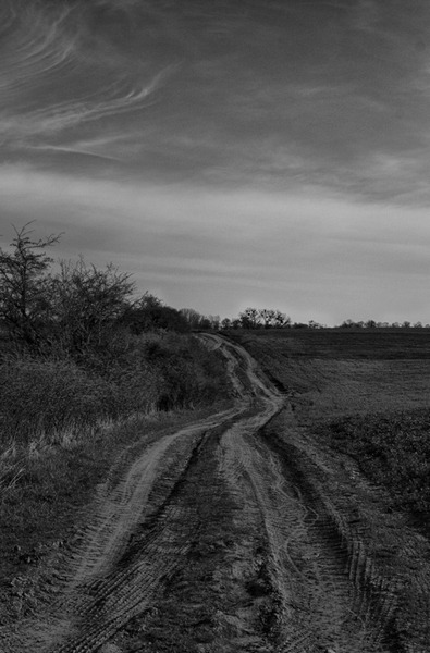 Kliknij na zdjęcie, żeby zobaczyć w pełnych wymiarach