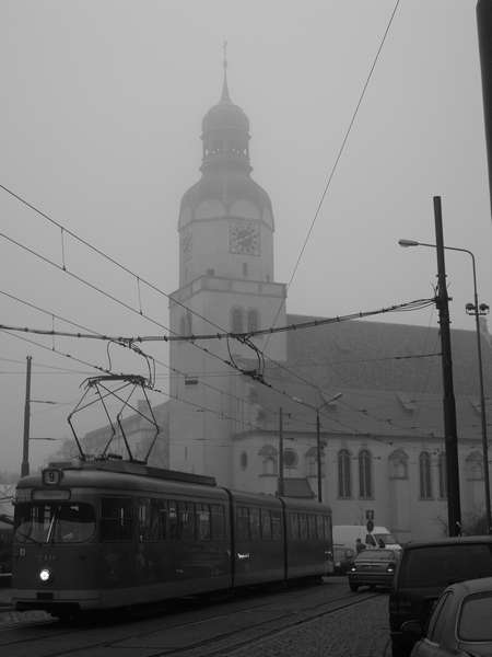 Kliknij na zdjęcie, żeby zobaczyć w pełnych wymiarach