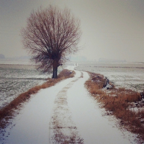 Kliknij na zdjęcie, żeby zobaczyć w pełnych wymiarach