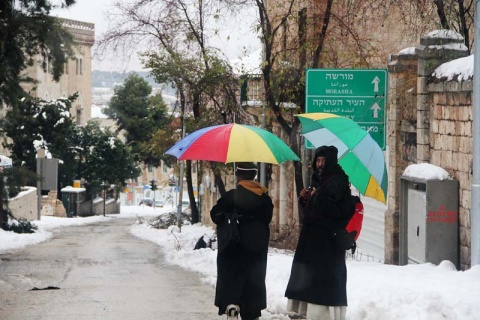 Kliknij na zdjęcie, żeby zobaczyć w pełnych wymiarach