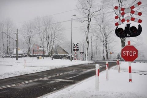 Kliknij na zdjęcie, żeby zobaczyć w pełnych wymiarach