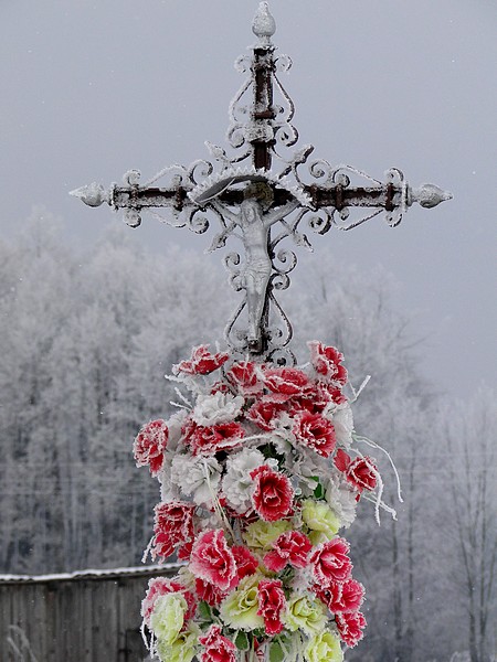 Kliknij na zdjęcie, żeby zobaczyć w pełnych wymiarach