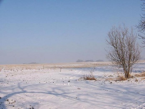 Kliknij na zdjęcie, żeby zobaczyć w pełnych wymiarach