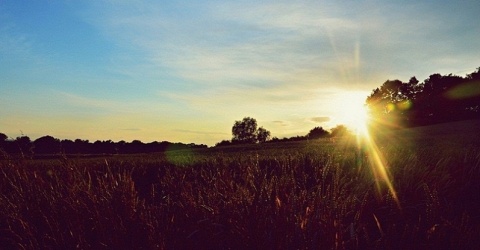 Kliknij na zdjęcie, żeby zobaczyć w pełnych wymiarach