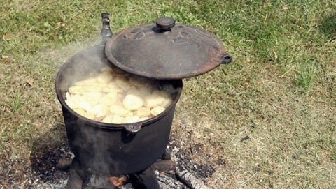 Kliknij na zdjęcie, żeby zobaczyć w pełnych wymiarach