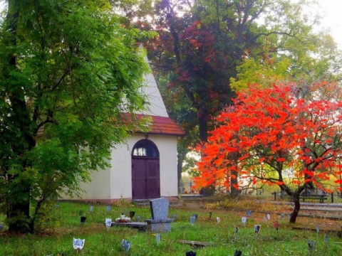 Kliknij na zdjęcie, żeby zobaczyć w pełnych wymiarach