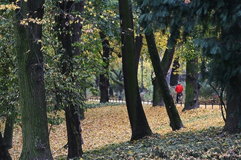 Kliknij na zdjęcie, żeby zobaczyć w pełnych wymiarach