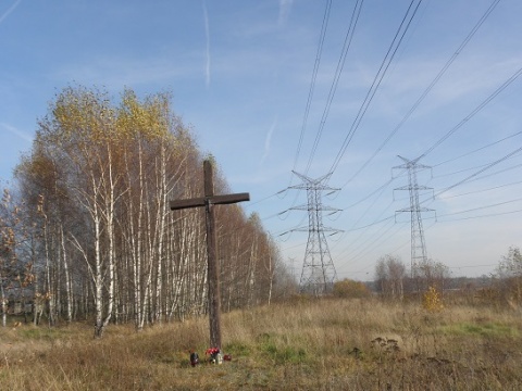 Kliknij na zdjęcie, żeby zobaczyć w pełnych wymiarach