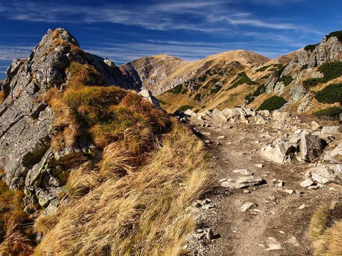 Kliknij na zdjęcie, żeby zobaczyć w pełnych wymiarach