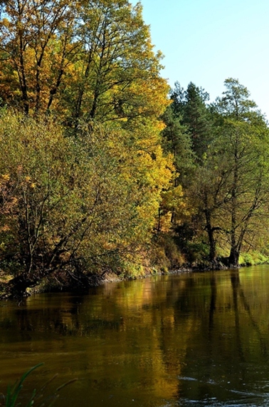 Kliknij na zdjęcie, żeby zobaczyć w pełnych wymiarach