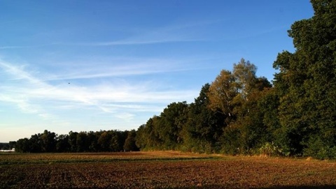 Kliknij na zdjęcie, żeby zobaczyć w pełnych wymiarach