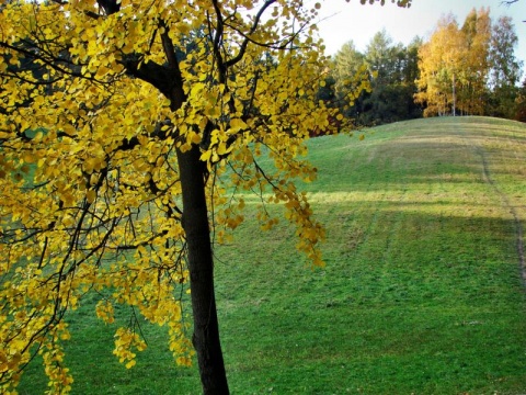 Kliknij na zdjęcie, żeby zobaczyć w pełnych wymiarach