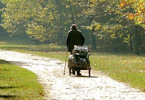 Kliknij na zdjęcie, żeby zobaczyć w pełnych wymiarach