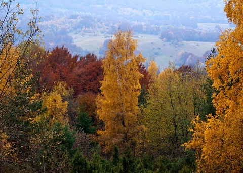 Kliknij na zdjęcie, żeby zobaczyć w pełnych wymiarach