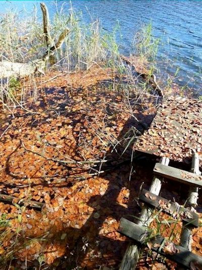 Kliknij na zdjęcie, żeby zobaczyć w pełnych wymiarach