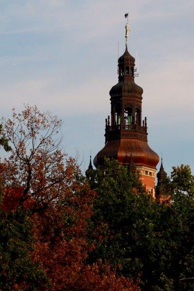 Kliknij na zdjęcie, żeby zobaczyć w pełnych wymiarach