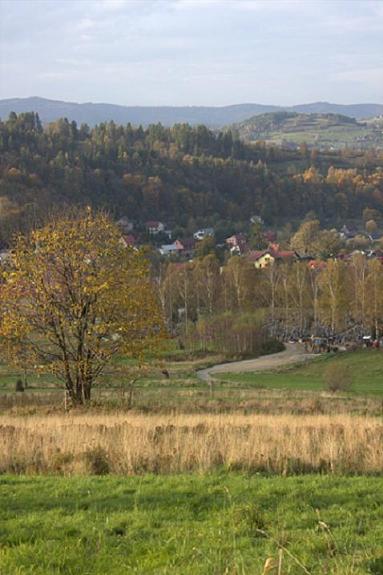 Kliknij na zdjęcie, żeby zobaczyć w pełnych wymiarach