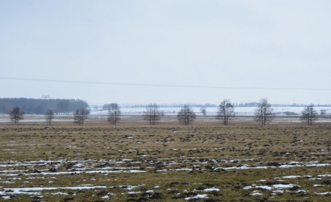 Kliknij na zdjęcie, żeby zobaczyć w pełnych wymiarach