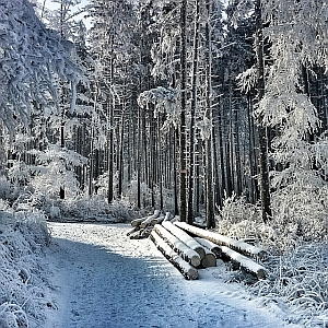 Kliknij na zdjęcie, żeby zobaczyć w pełnych wymiarach