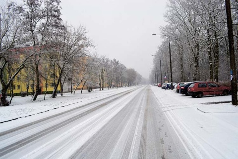 Kliknij na zdjęcie, żeby zobaczyć w pełnych wymiarach