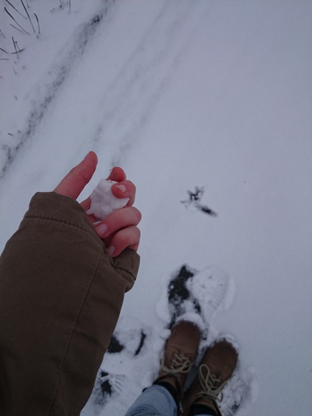 Kliknij na zdjęcie, żeby zobaczyć w pełnych wymiarach